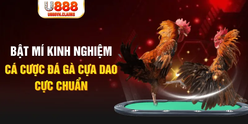 79king 78 trong baccarat, ai là người chia bài chính？