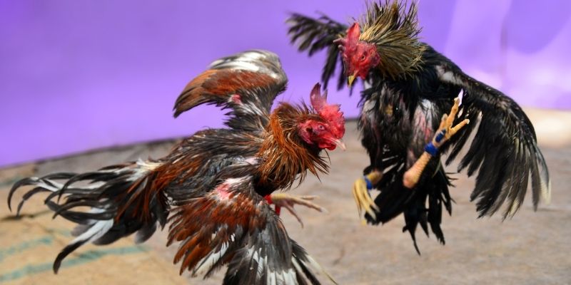 79king 78 nổ hũ tiếng anh là gì