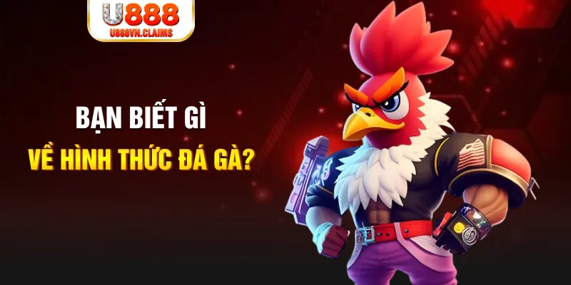 79king 78 đăng nhập mậu binh dễ thắng