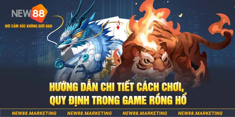 79king 78 xổ số tây ninh