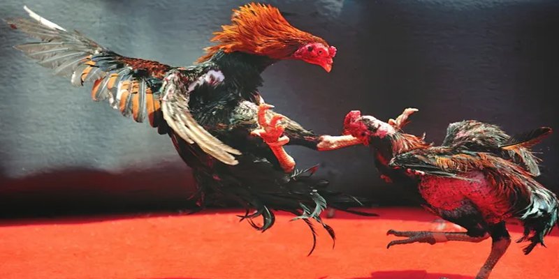 79king 78 đăng nhập nổ hũ số 1