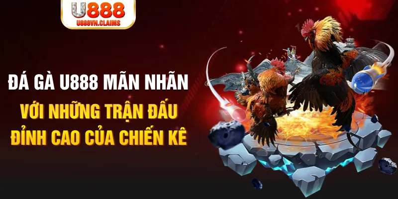 79king 78 kết quả xổ số miền bắc ngày hôm nay