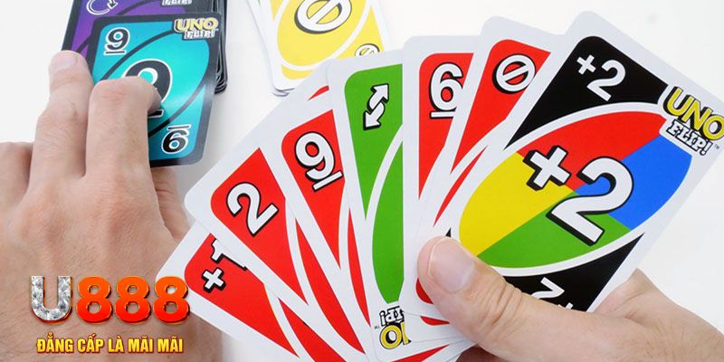 79king 78 gà chọi