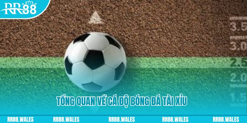 79king 78 JDB Điện Tử