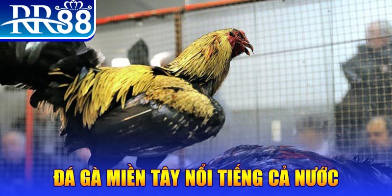 79king 78 đăng nhập liêng miễn phí