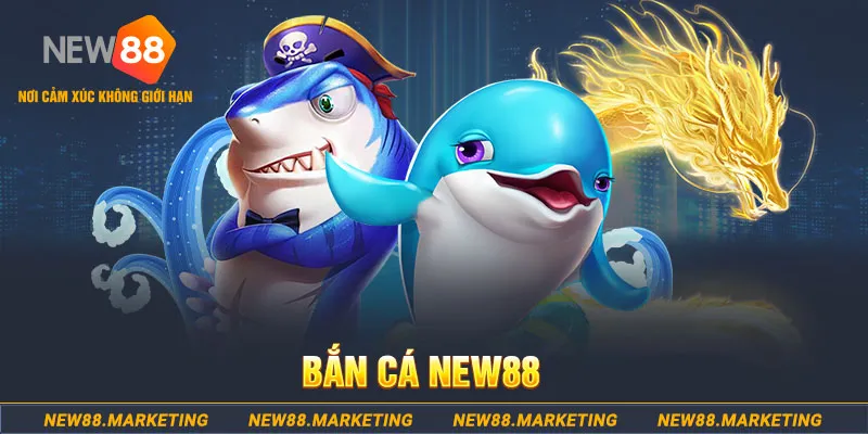 79king 78 ga choi c1 tv