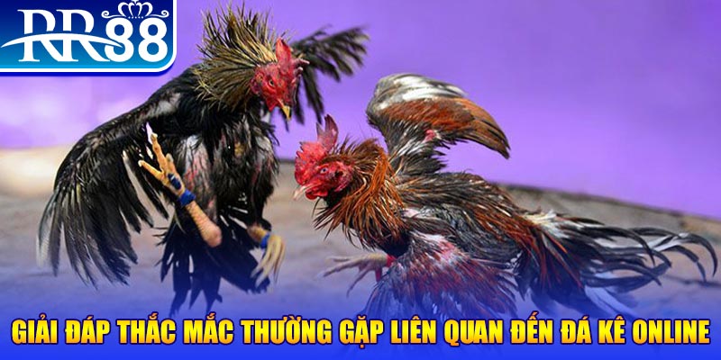 79king 78 đăng nhập phỏm tặng tiền