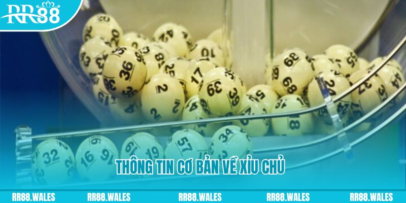 79king 78 baccarat long bảo là gì