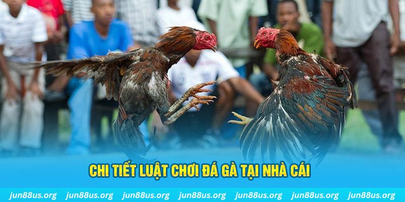 79king 78 đăng nhập sòng bạc uy tín