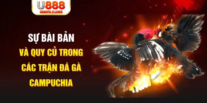 79king 78 baccarat lừa đảo như thế nào