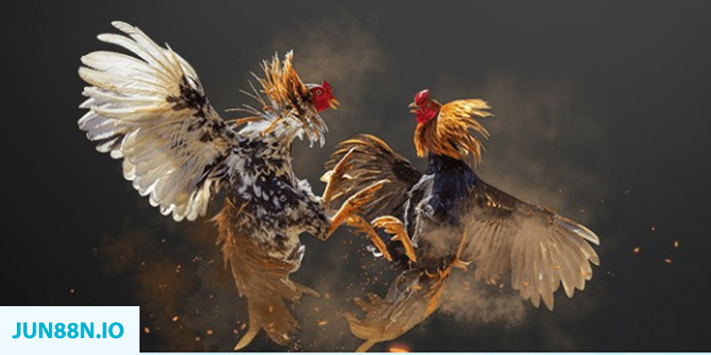 79king 78 bắn cá long vương