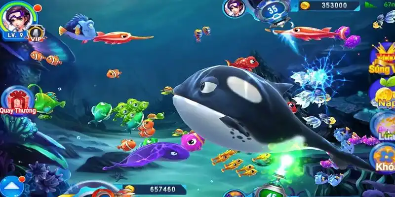 79king 78 truc tiep da ga