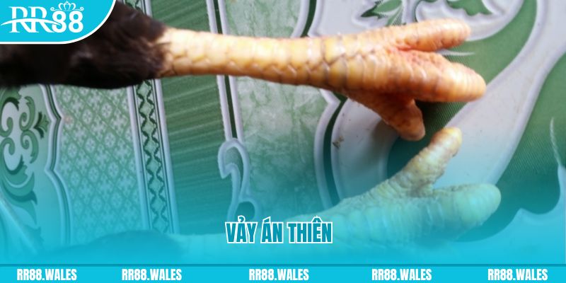 79king 78 who wants to be a millionaire slot