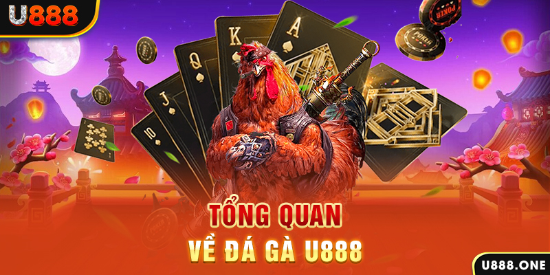 79king 78 baccarat có lừa đảo không