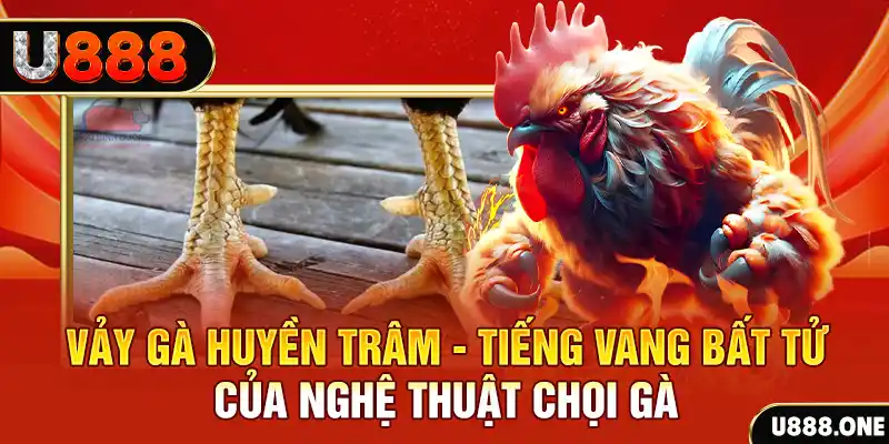 79king 78 xổ số ba miền hôm nay