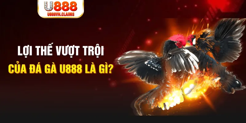 79king 78 888 slot là gì
